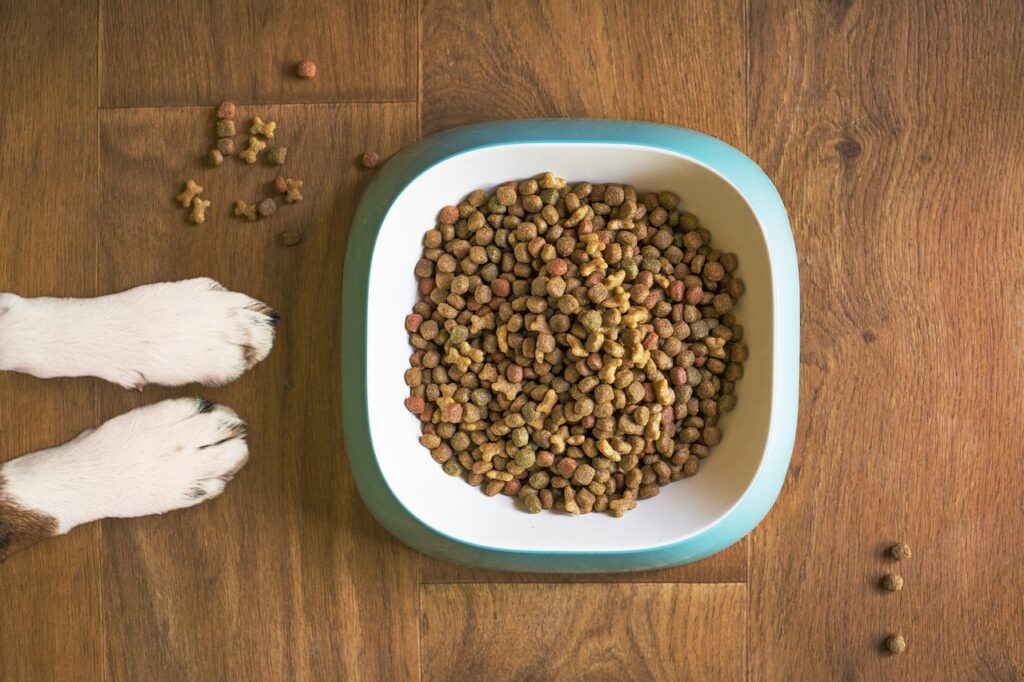 dog eating